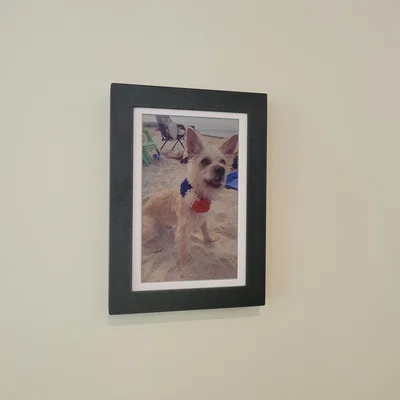 Khung cho màn hình Waveshare ESP32 S3 PhotoPainter e-ink