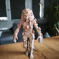 The Mummy 8# – Những Người Bảo Vệ Cổ Đại - Thumbnail 2