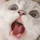 Jackmiller_975561