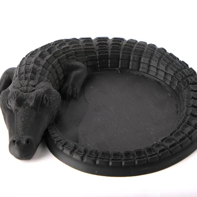 Khay Đựng Đồ Hình Cá Sấu - Crocodile Organizer Tray