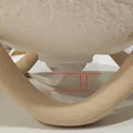 Bộ chuyển đổi đui đèn E27 (E27 Ceiling Adapter) cho đèn in 3D - Thumbnail 2