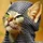 mazin_3457025