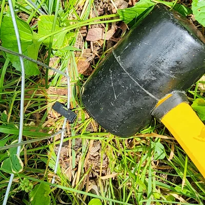 Cọc ghim có ngạnh cố định lưới bảo vệ cây khỏi hươu nai