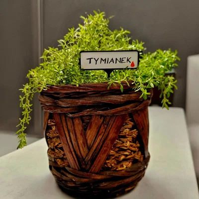Thẻ cắm đánh dấu chậu cây, thảo mộc 3D (Herb label) đẹp mắt