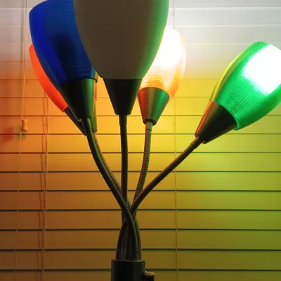 Light cone (Chụp đèn nón)