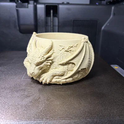 Dragon Bowl - Hộp Đựng Đồ Trang Trí Chủ Đề Rồng Fantasy
