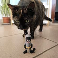Mô hình Mini Catwoman phong cách Chibi siêu đáng yêu cho tín đồ in 3D - Thumbnail 3