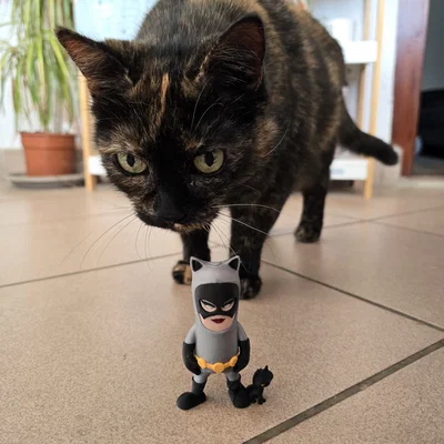 Mô hình Mini Catwoman phong cách Chibi siêu đáng yêu cho tín đồ in 3D