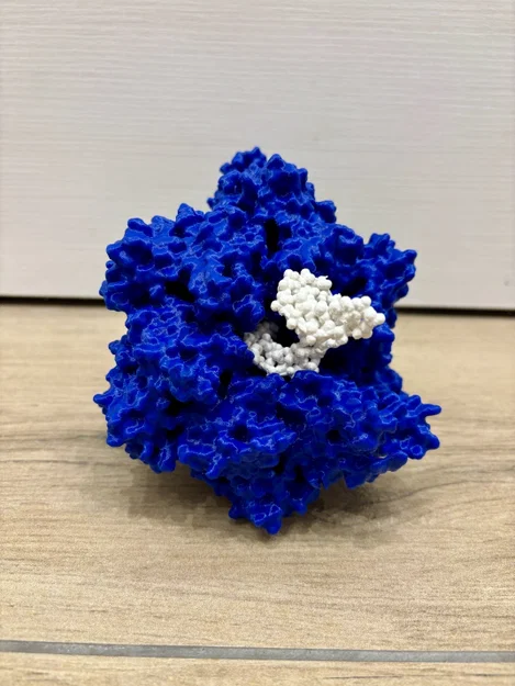 Mô hình enzyme Helicase và DNA - Image 3