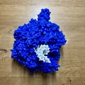 Mô hình enzyme Helicase và DNA - Thumbnail 5