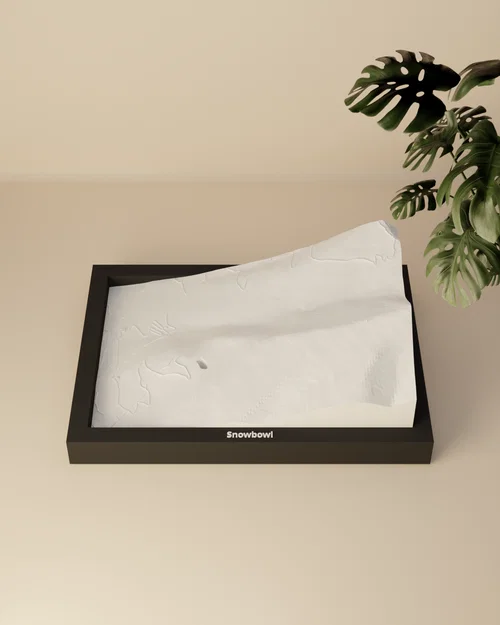Snowbowl, Hoa Kỳ - Mô hình địa hình 3D thu nhỏ - Image 3