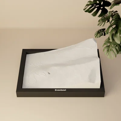 Snowbowl, Hoa Kỳ - Mô hình địa hình 3D thu nhỏ