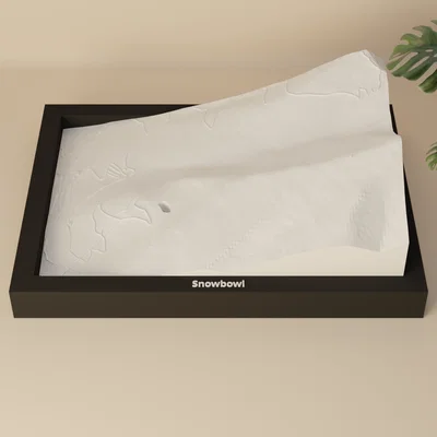 Snowbowl, Hoa Kỳ - Mô hình địa hình 3D thu nhỏ