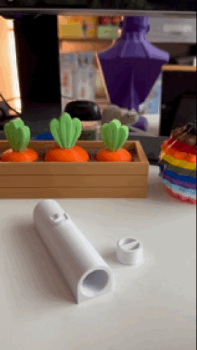 Mezuzah - Thiết kế đơn giản kèm ngăn chứa cuộn giấy - Image 2