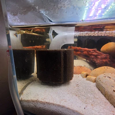 Bộ điều hướng bọt khí cho lọc vi sinh (Sponge Filter) - Giảm tiếng ồn