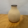 Mẫu bình hoa trang trí 3D Ribbed & Spiral Ribbed độc đáo - Thumbnail 3
