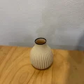 Mẫu bình hoa trang trí 3D Ribbed & Spiral Ribbed độc đáo - Thumbnail 4