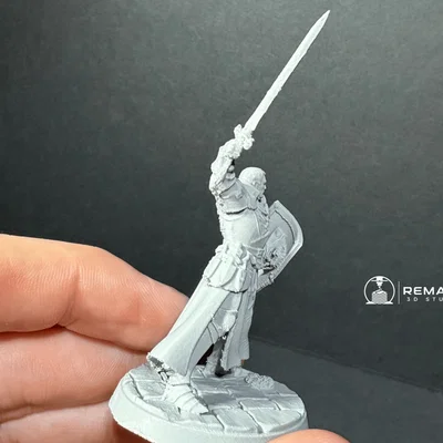 PALADIN - Mô hình chiến binh dũng mãnh
