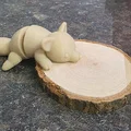 Mô hình gấu mèo linh hoạt (Flexi Waschbär) in 3D độc đáo - Thumbnail 1