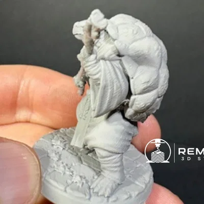 Turtle Monk Warrior – Mô hình chiến binh rùa 50mm