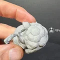 Turtle Monk Warrior – Mô hình chiến binh rùa 50mm - Thumbnail 5
