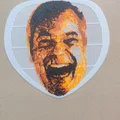 Tấm lưới tiểu nam hình Nigel Farage - Thumbnail 3