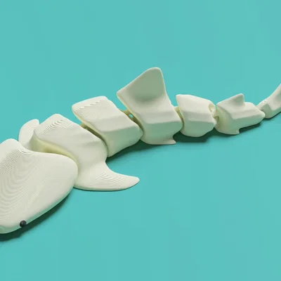 Mô hình cá mập khớp nối 3D linh hoạt cho dân chơi Fidget