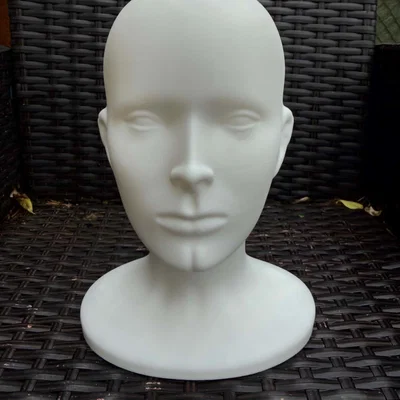 Mô hình đầu Mannequin (Mannequin head)
