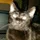 JoseWagner_354064