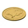 Đồng xu địa hình 3D Hà Lan 85 mm – Token sưu tầm nổi - Thumbnail 2