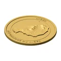 Đồng Xu Địa Hình 3D Niger 85 mm – Mô Hình Sưu Tầm Phù Điêu - Thumbnail 2