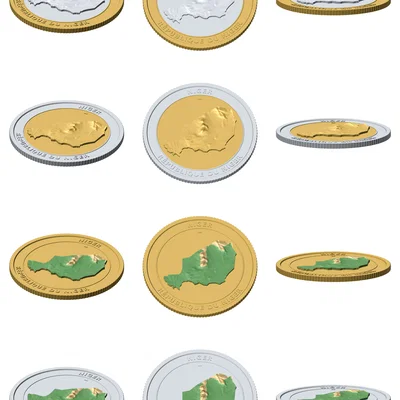 Đồng Xu Địa Hình 3D Niger 85 mm – Mô Hình Sưu Tầm Phù Điêu
