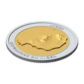 Đồng Xu Địa Hình 3D Niger 85 mm – Mô Hình Sưu Tầm Phù Điêu - Thumbnail 4