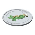 Đồng xu sưu tầm địa hình 3D Pakistan 85 mm – Phiên bản phù điêu nổi - Thumbnail 4