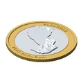 Đồng Xu 3D Địa Hình Paraguay 85 mm – Quà Tặng Sưu Tầm - Thumbnail 1