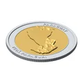 Đồng Xu 3D Địa Hình Paraguay 85 mm – Quà Tặng Sưu Tầm - Thumbnail 4