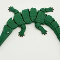 Mô hình cá sấu khớp nối linh hoạt (Articulated flexi crocodile) - Thumbnail 2