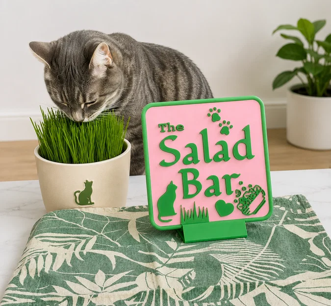Bảng hiệu cỏ cho mèo - Salad Bar - Image 1