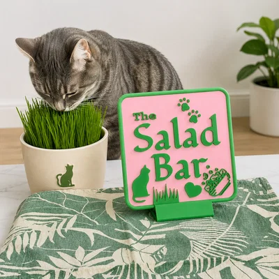 Bảng hiệu cỏ cho mèo - Salad Bar
