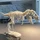 MatheusFerro_4454153