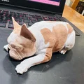 Mô hình chú chó Bull Pháp (French Bulldog) trang trí bàn làm việc - Thumbnail 4