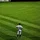 bustacheeze_400117