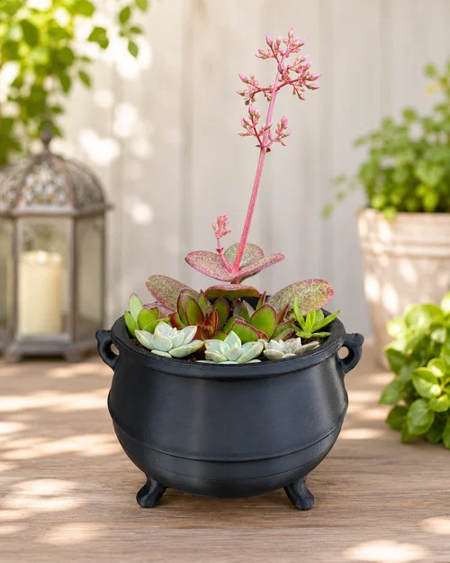 Chậu cây hình vạc phù thủy độc đáo (Cauldron Planter) - File in 3D - Image 1