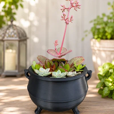 Chậu cây hình vạc phù thủy độc đáo (Cauldron Planter) - File in 3D