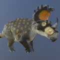 Mô hình 3D Sinoceratops: Khủng long có sừng từ kỷ Phấn trắng - Thumbnail 1