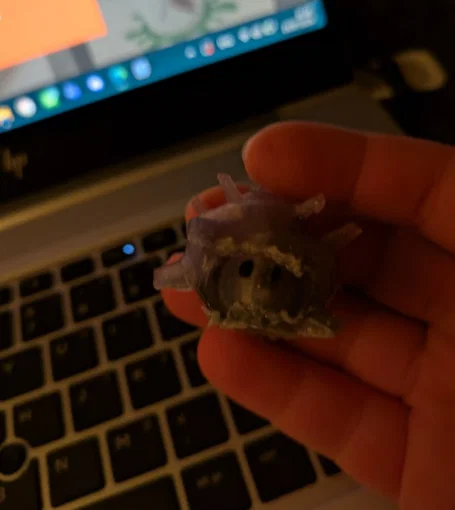 Mô hình 3D Super Sea Snail (Ốc biển Splatoon) chi tiết sắc nét - Image 2