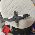 Mô hình vịt mallard đang bay - Thumbnail 2