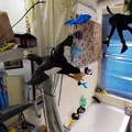Mô hình vịt mallard đang bay - Thumbnail 6