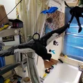 Mô hình vịt mallard đang bay - Thumbnail 7