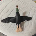Mô hình vịt mallard đang bay - Thumbnail 10